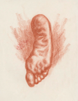 Human Foot 19